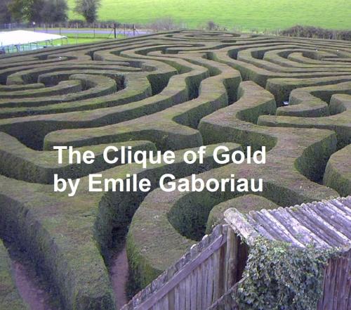 Cover of the book The Clique of Gold by Emile Gaboriau, Seltzer Books