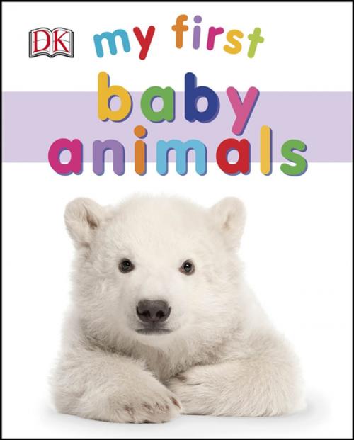 Cover of the book My First Baby Animals by DK, DK Publishing