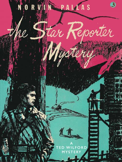 Cover of the book The Star Reporter Mystery by Norvin Pallas, Wildside Press LLC