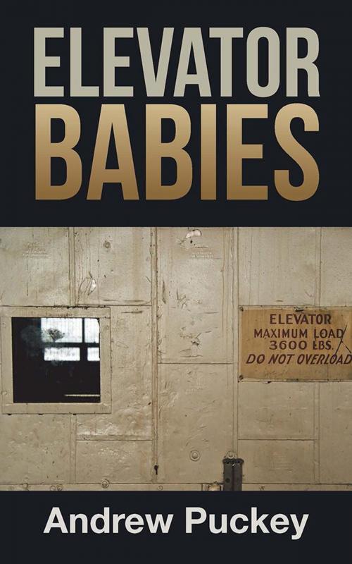 Cover of the book Elevator Babies by Andrew Puckey, Archway Publishing