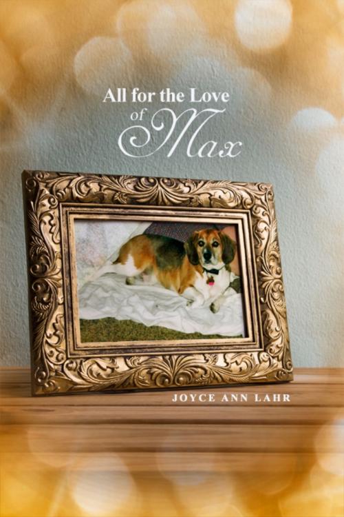 Cover of the book All for the Love of Max by Joyce Ann Lahr, Dorrance Publishing