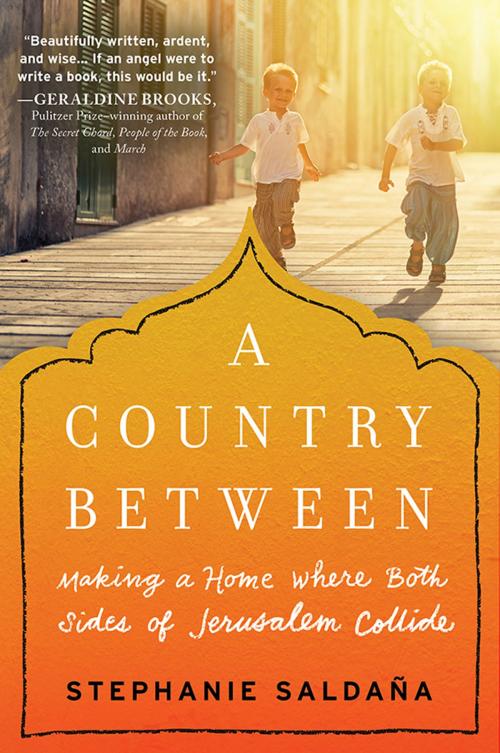 Cover of the book A Country Between by Stephanie Saldaña, Sourcebooks