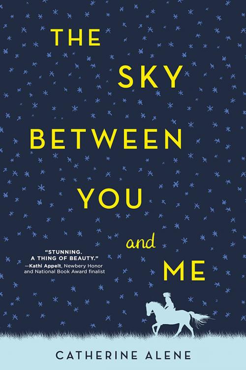 Cover of the book The Sky between You and Me by Catherine Alene, Sourcebooks