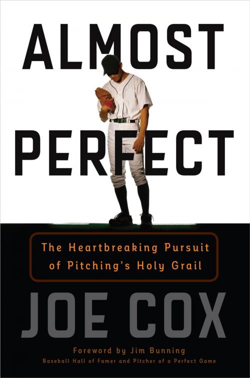 Cover of the book Almost Perfect by Joe Cox, Lyons Press