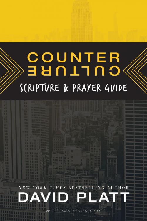 Cover of the book Counter Culture Scripture and Prayer Guide by David Platt, Dave Burnette, Tyndale House Publishers, Inc.