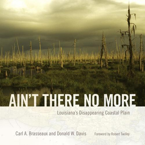 Cover of the book Ain't There No More by Carl A. Brasseaux, Donald W. Davis, University Press of Mississippi