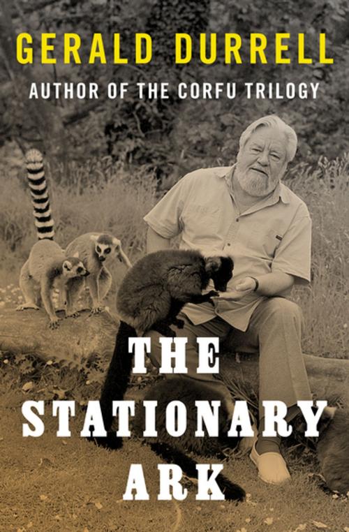 Cover of the book The Stationary Ark by Gerald Durrell, Open Road Media