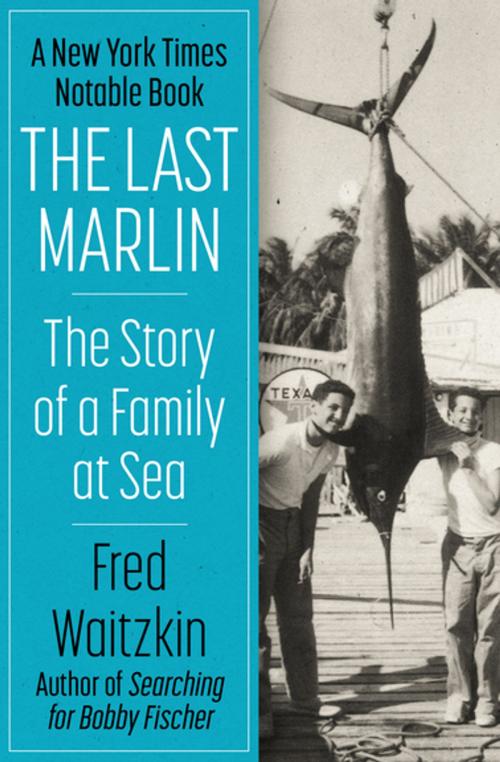 Cover of the book The Last Marlin by Fred Waitzkin, Open Road Media