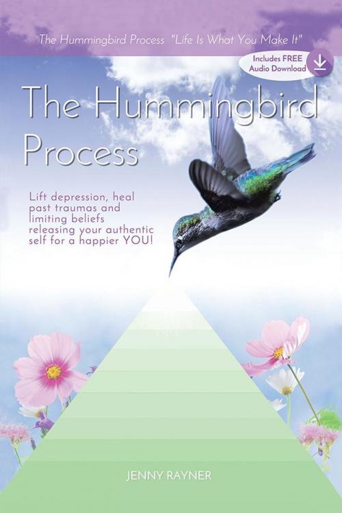Cover of the book The Hummingbird Process by Jenny Rayner, Balboa Press
