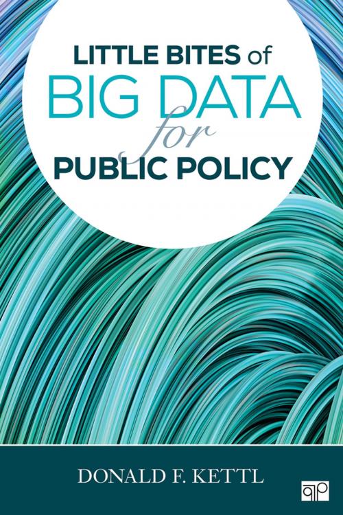 Cover of the book Little Bites of Big Data for Public Policy by Donald F. Kettl, SAGE Publications