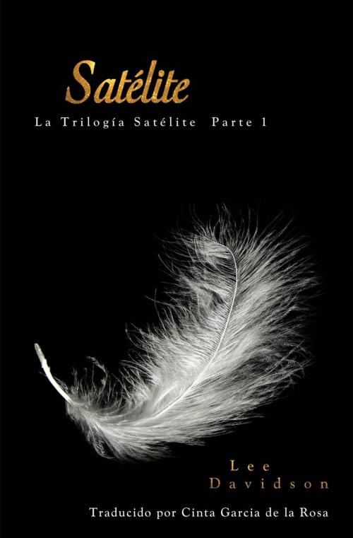 Cover of the book Satélite by Lee Davidson, Babelcube Inc.