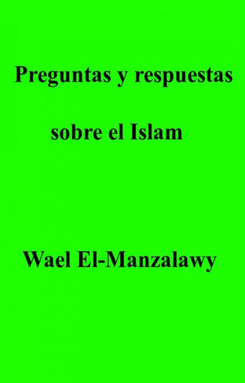 Cover of the book Preguntas Y Respuestas Sobre El Islam by Wael El, Manzalawy, Babelcube Inc.