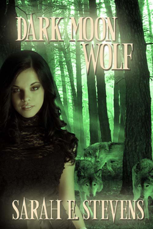 Cover of the book Dark Moon Wolf by Sarah E. Stevens, The Wild Rose Press, Inc.