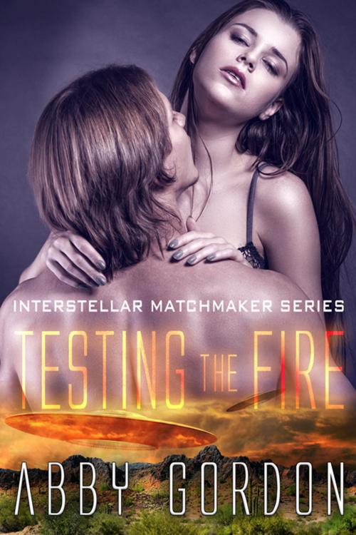 Cover of the book Testing the Fire by Abby Gordon, The Wild Rose Press, Inc.