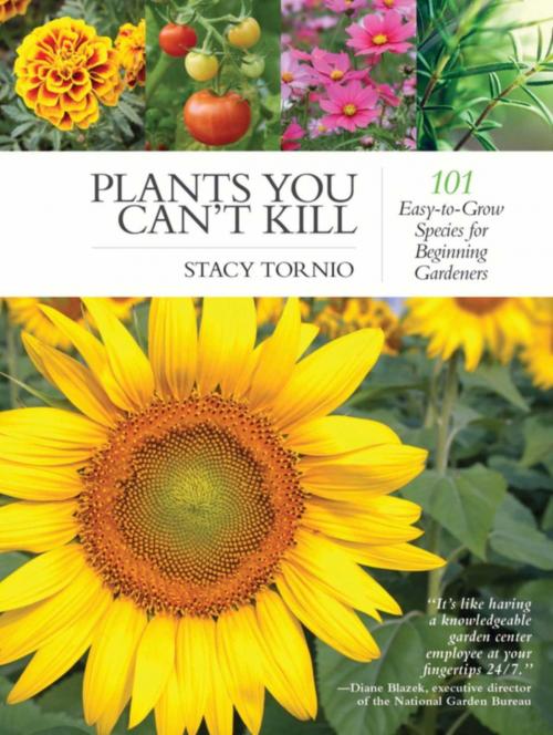 Cover of the book Plants You Can't Kill by Stacy Tornio, Skyhorse