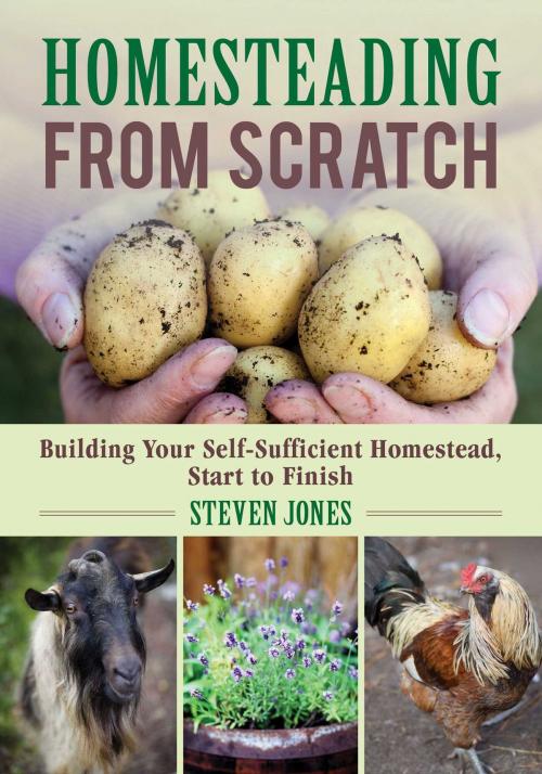 Cover of the book Homesteading From Scratch by Steven Jones, Skyhorse