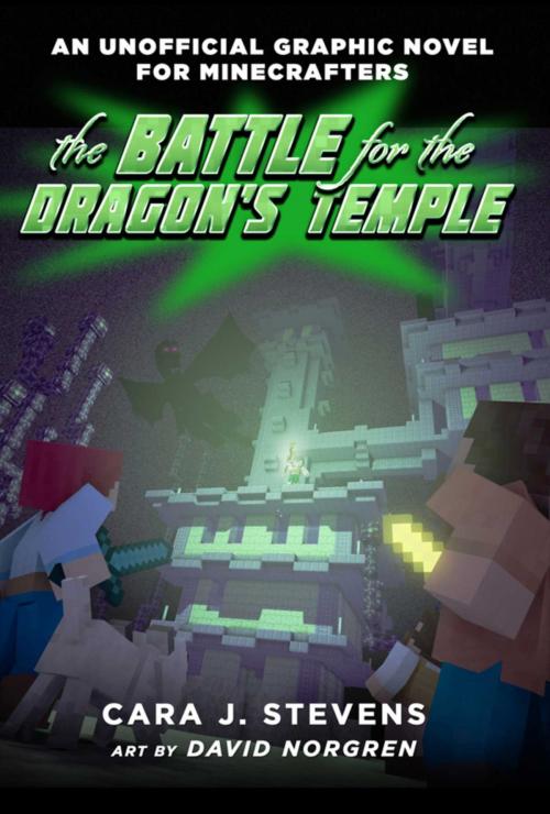 Cover of the book The Battle for the Dragon's Temple by Cara J. Stevens, Sky Pony