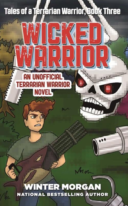 Cover of the book Wicked Warrior by Winter Morgan, Sky Pony
