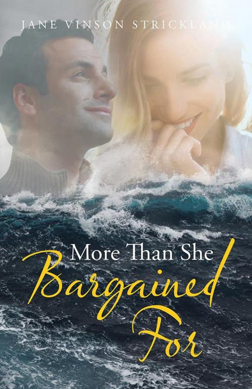 Cover of the book More Than She Bargained For by Jane Vinson Strickland, WestBow Press