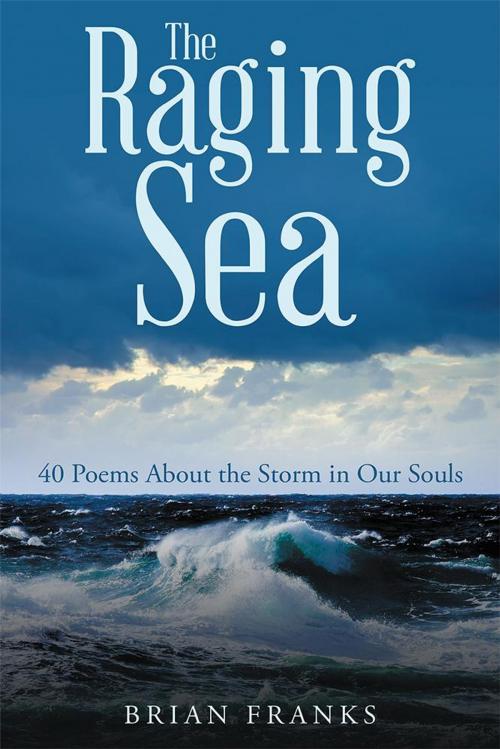 Cover of the book The Raging Sea by Brian Franks, WestBow Press