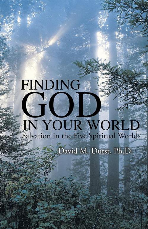 Cover of the book Finding God in Your World by David M. Durst Ph.D., WestBow Press