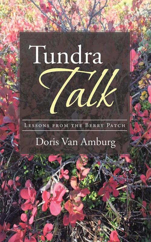 Cover of the book Tundra Talk by Doris Van Amburg, WestBow Press
