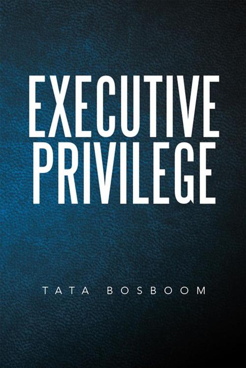 Cover of the book Executive Privilege by Tata Bosboom, Xlibris US