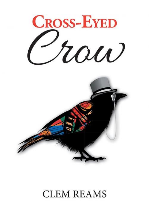 Cover of the book Cross-Eyed Crow by Clem Reams, Xlibris US