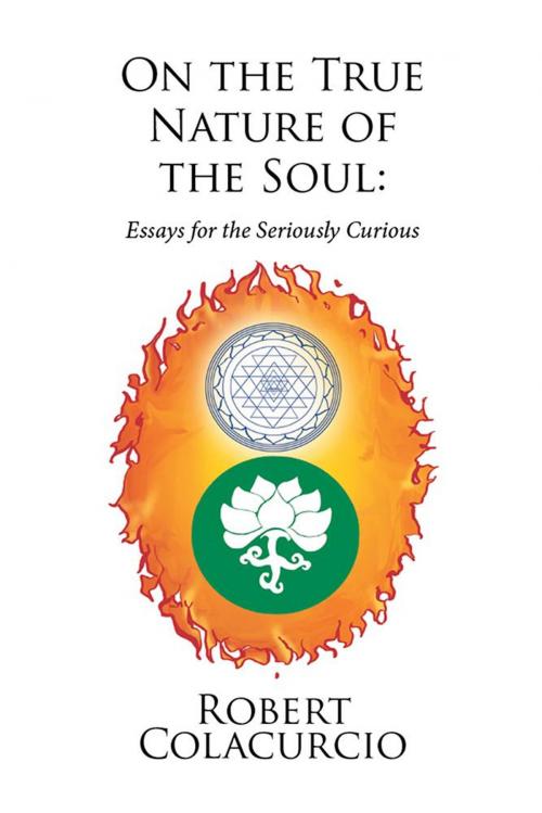 Cover of the book On the True Nature of the Soul: Essays for the Seriously Curious by Robert Colacurcio, Xlibris US