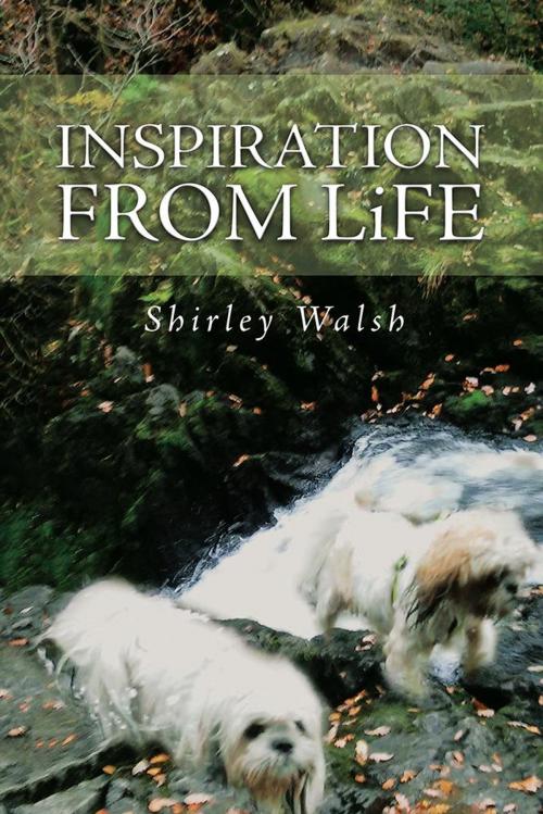 Cover of the book Inspiration from Life by Shirley Walsh, AuthorHouse UK