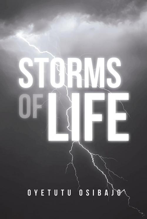 Cover of the book Storms of Life by Oyetutu Osibajo, iUniverse