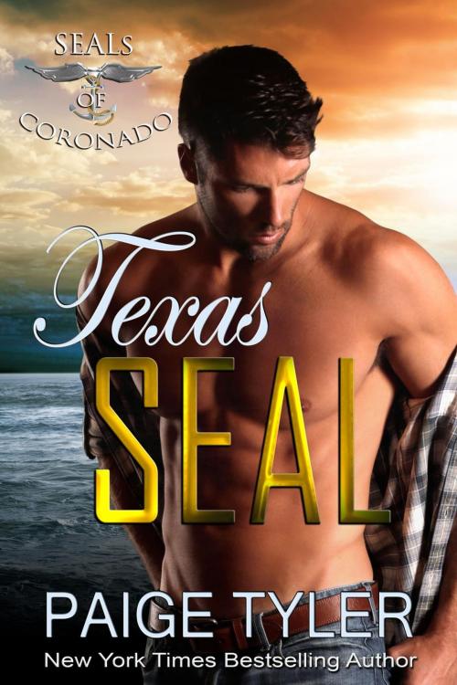 Cover of the book Texas SEAL by Paige Tyler, Paige Tyler