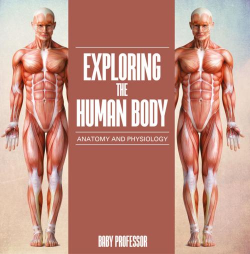 Cover of the book Exploring the Human Body | Anatomy and Physiology by Baby Professor, Speedy Publishing LLC