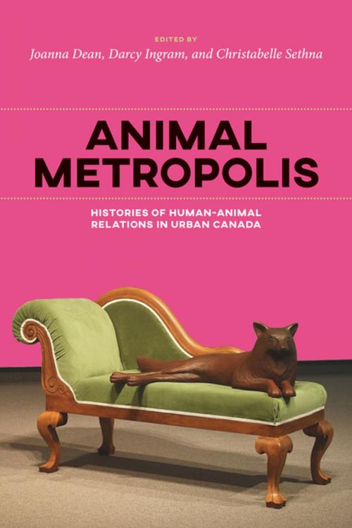 Cover of the book Animal Metropolis by , University of Calgary Press