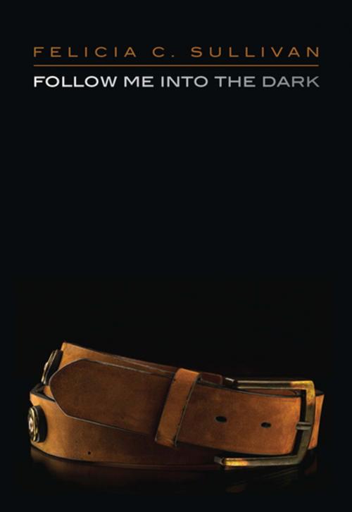 Cover of the book Follow Me into the Dark by Felicia C. Sullivan, The Feminist Press at CUNY