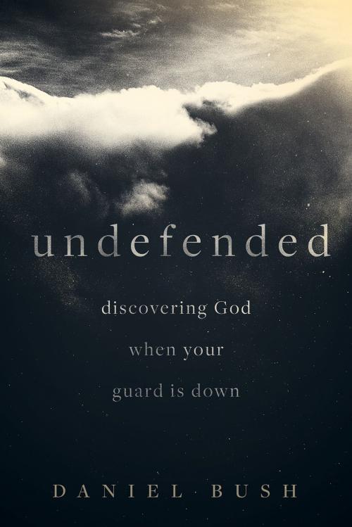 Cover of the book Undefended by Daniel Bush, Lexham Press