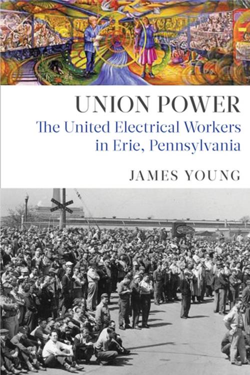 Cover of the book Union Power by James Young, Monthly Review Press