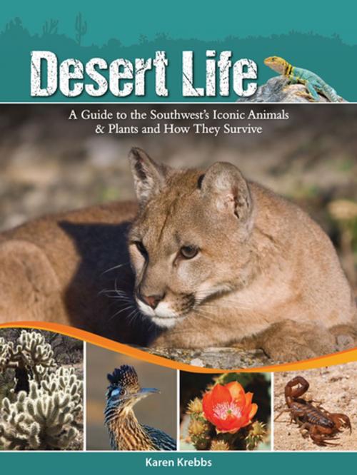 Cover of the book Desert Life by Karen Krebbs, Adventure Publications