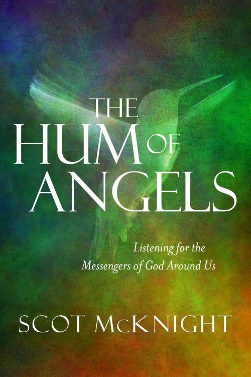 Cover of the book The Hum of Angels by Scot McKnight, The Crown Publishing Group