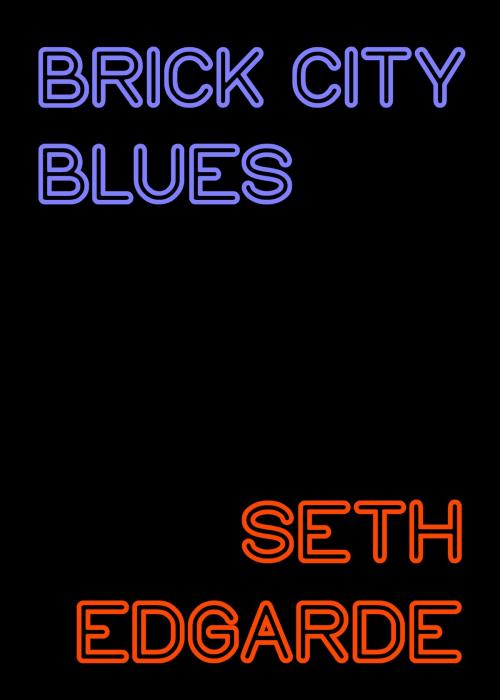 Cover of the book Brick City Blues by Seth Edgarde, Blackbird Books