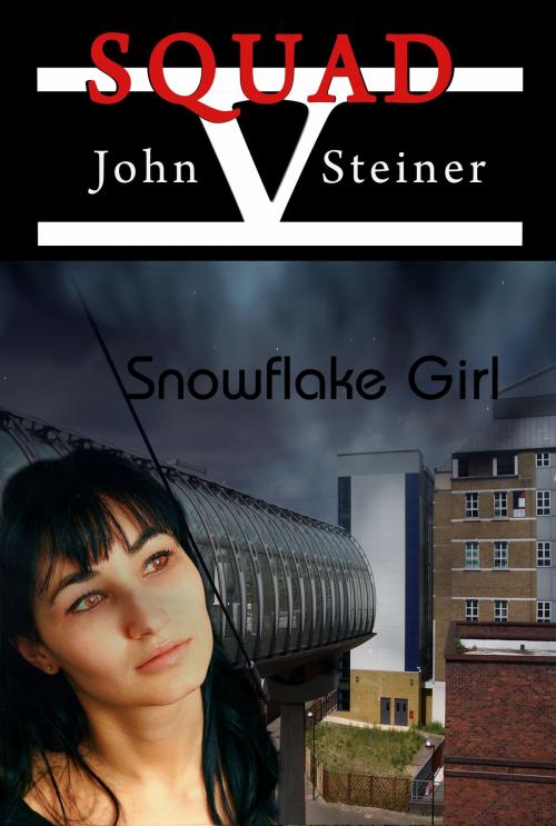 Cover of the book Snowflake Girl by John Steiner, Melange Books, LLC