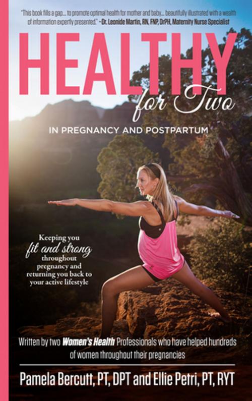 Cover of the book Healthy for Two by Ellie Petri, PT, RYT, Pamela Bercutt, PT, DPT, Made For Success Publishing
