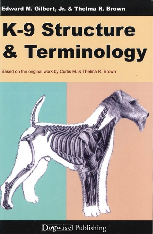 Cover of the book K-9 Structure & Terminology by Edward M Gilbert Jr., Thelma R Brown, Dogwise Publishing