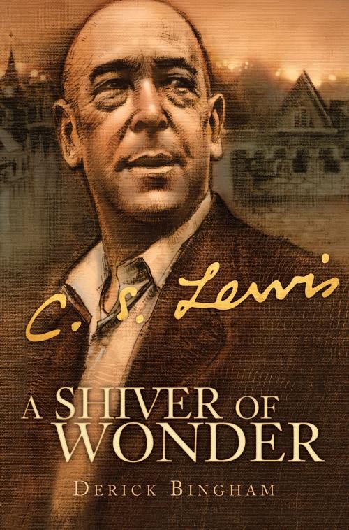 Cover of the book A Shiver of Wonder by Derick Bingham, Ambassador International