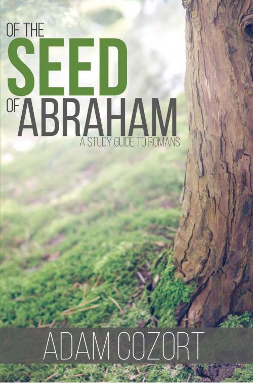 Cover of the book Of The Seed Of Abraham by Adam Cozort, Hopkins Publishing, Inc.