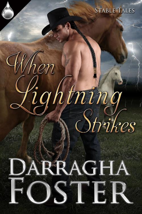 Cover of the book When Lightning Strikes by Darragha Foster, Liquid Silver Books