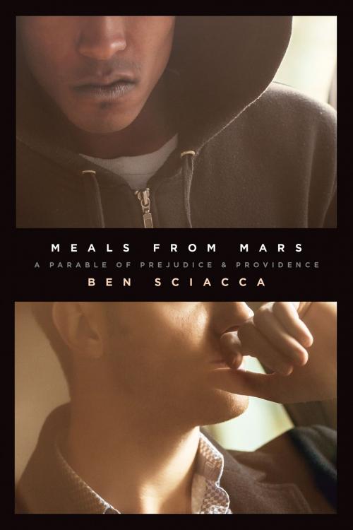 Cover of the book Meals from Mars by Ben Sciacca, The Navigators
