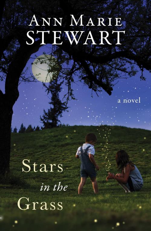 Cover of the book Stars in the Grass by Ann Marie Stewart, Barbour Publishing, Inc.