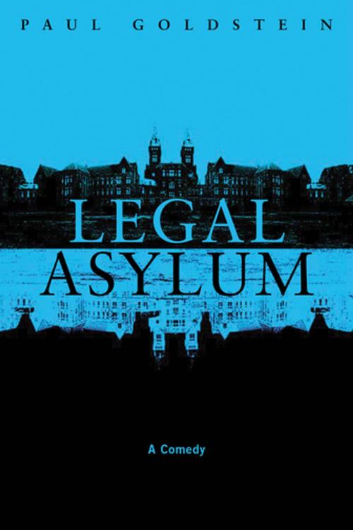 Cover of the book Legal Asylum by Paul Goldstein, American Bar Association