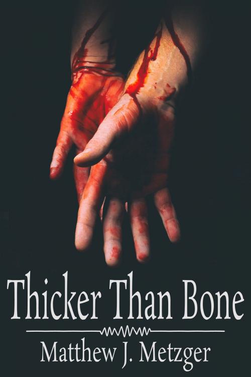 Cover of the book Thicker Than Bone by Matthew J. Metzger, JMS Books LLC